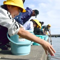 成長願い「バイバイ」　白子・南白亀川小学生がウナギ放流