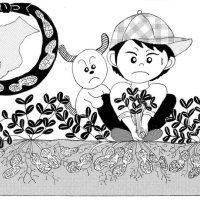＜地産地消［落花生］＞　中心５種味わい多彩　【現代食事考】（１７４０）