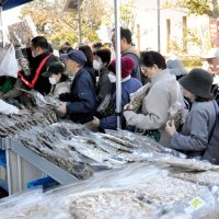 シイタケに長蛇の列　市原刑務所で矯正展　保護犬と交流、初の譲渡会も