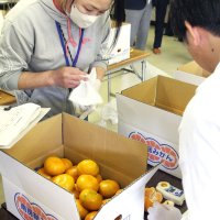 糖度計に果汁を入れて糖度を調べる審査員ら＝２２日、館山市