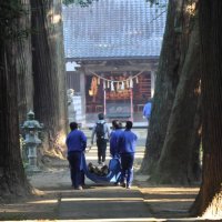 巨杉が立ち並ぶ参道で、部員は協力して倒木を運んだ＝２４日、東金市