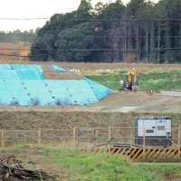 共生バンクが造成工事を行う用地。周辺には木々も多い＝２６日、成田市