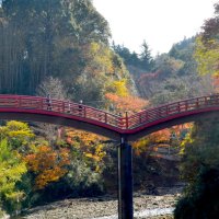 養老渓谷“最後の彩り”　紅葉、初冬の日差しに映え　市原・大多喜　【師走スケッチ２０２５】