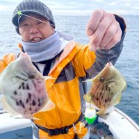 竹岡沖で釣り上げたカワハギ（写真は「萬栄丸」提供）