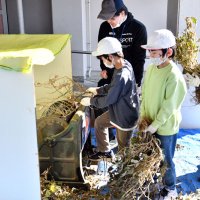 昔ながら、足踏みで大豆脱穀　「振動すごい」笑顔に　神崎・米沢小　納豆やみそに加工
