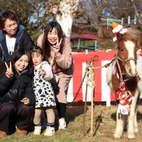２０２５～２６年　千葉県内年末年始ガイド・催し