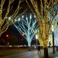 ４０万球、幻想的な輝き　２０日クリスマスマーケット　印西　【師走スケッチ２０２５】