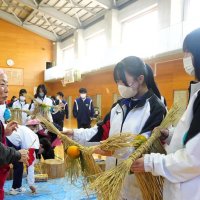 収穫稲わらで正月飾り　婦人会講師に中学生挑戦　勝浦　【師走スケッチ２０２５】