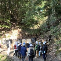 計画敷地内を視察する有識者や県職員ら＝２３日、鴨川市（県提供）