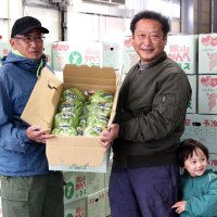 甘くてシャキシャキ　生産者、出荷作業に汗　館山　かんべレタス