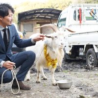 「拾得物」のヤギ世話で感謝状　飼い主名乗り出ず３カ月　迷子の「まーちゃん」と名付け、宇佐美さん宅に“仲間入り”　大多喜