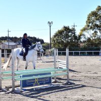 引退競走馬に活躍の場　香取・北総乗馬クラブ　元五輪代表が技術指導　【房総うま物語】（３）