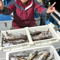 洲崎南クロムツ食い良し　竹岡、保田カワハギ好調　【今週の釣果】