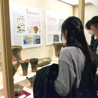 千葉市立郷土博物館で千葉市の歴史展示を見学する参加者＝同市中央区