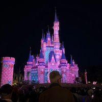 プロジェクションマッピングでピンク色や水玉模様などに染まったシンデレラ城＝１３日、浦安市の東京ディズニーランド