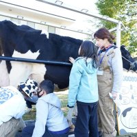 助言を受けながら乳牛に優しく触れたり乳搾りを体験したりする児童
