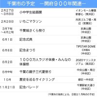 特別展、スポーツ、音楽祭…　千葉市　開府９００年でイベント多彩　都市基盤整備も