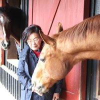 「里親」募り最後まで　互助制度で余生支える　香取　引退馬協会　【房総うま物語】（１５）