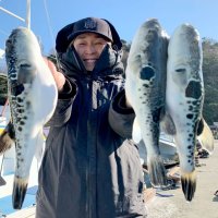 木更津トラフグ狙える　走水タチウオ反応良く　【今週の釣果】