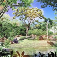 「森林ゾーン」の「アフリカの森」の展示イメージ。ゴリラの群れでの生活を目指す（千葉市動物公園提供）