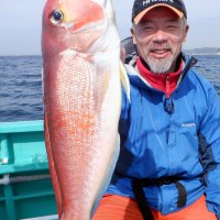 保田沖で釣り上げたアマダイ（写真は「村井丸」提供）

