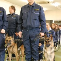 嘱託式に参加したジャーマン・シェパード
