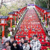 遠見岬神社の石段６０段（高さ約１２メートル）に並べられたひな人形と記念撮影する来場者＝２１日、勝浦市