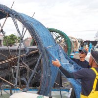 ノリ不作受け環境省方針　「栄養塩」東京湾で規制緩和