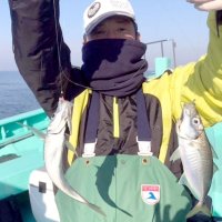 木更津、本牧アジ好釣　観音崎トラフグキロ超えも　【今週の釣果】