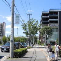 流山が上昇率首位　千葉県内公示地価、住宅地・商業地で　「割安感」で需要波及