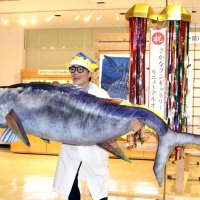 「さかなクンギャラリー」一新　渚の駅たてやま「ぜいたくな海」紹介　イラストや動画など新たに１５０点