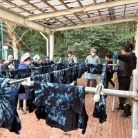 藍染めでランナー歓待！　神崎発酵マラソン　本番前に特製Ｔシャツ作り　ランナー募集中