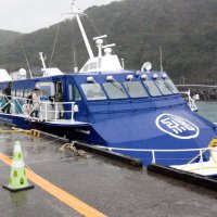 館山―千葉より近い！？　季節航路結ぶ“隣町”伊豆大島　名物ツバキ、元は「防風林」