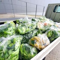 イオンのネットスーパー、野菜端材を千葉市動物園へ　フードロス削減、ゾウやバクのエサに