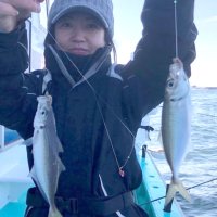 木更津、本牧アジ好調　中ノ瀬シロギス良型まじり　【今週の釣果】
