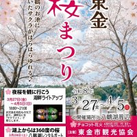 八鶴湖畔で「桜まつり」　２７日～４月５日　ライトアップも　東金