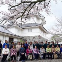 “名城”で風情ある花見　和のおもてなしに笑顔　大多喜城