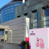 長柄町１３・５％減４０億円　子育て支援などに配分　【２０２６年度市町村予算案一般会計】