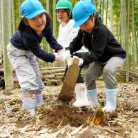続々タケノコに歓声　園児ら力合わせ収穫体験　大多喜