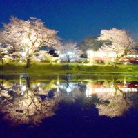 夜桜と小湊鉄道