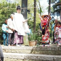 豊作願い葭苗投げ　飽富神社「お田植神事」　袖ケ浦市