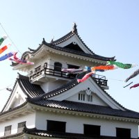 青空の下、館山城付近でスイスイと泳ぐこいのぼり＝館山市