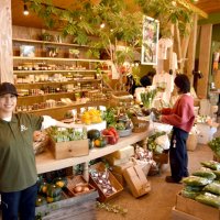 新しい食の拠点へ　香取「ザファームベース」オープン　新鮮野菜や全国の逸品４００種