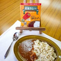 匝瑳高生が開発した「匝高カレー」
