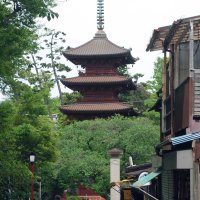 中山法華経寺の表門を通り、参道を進むと五重塔が見えてくる