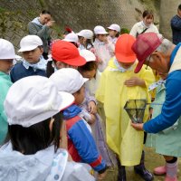 アユの稚魚を近くで観察する児童＝２３日、市原市