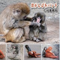 子ザルの「パンチ」応援、特別乗車券　北総鉄道２９日から　地域活性化へ市川市と連携