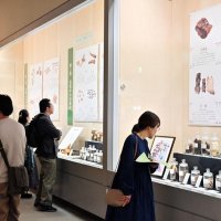 貴重な生薬一堂に　多彩資料、猫猫（マオマオ）も大興奮！　人気小説「薬屋のひとりごと」コラボ　千葉県立中央博物館で企画展