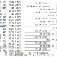 千葉県勢３校が強豪と火花　８年ぶり地元開催１６日開幕　第７８回春季関東地区高校野球