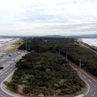 岬の突端で東京湾眺める　海の先の富士山も絶景　潮風感じてリフレッシュ　富津・明治百年記念展望塔　【房総パノラマ図鑑】（３）